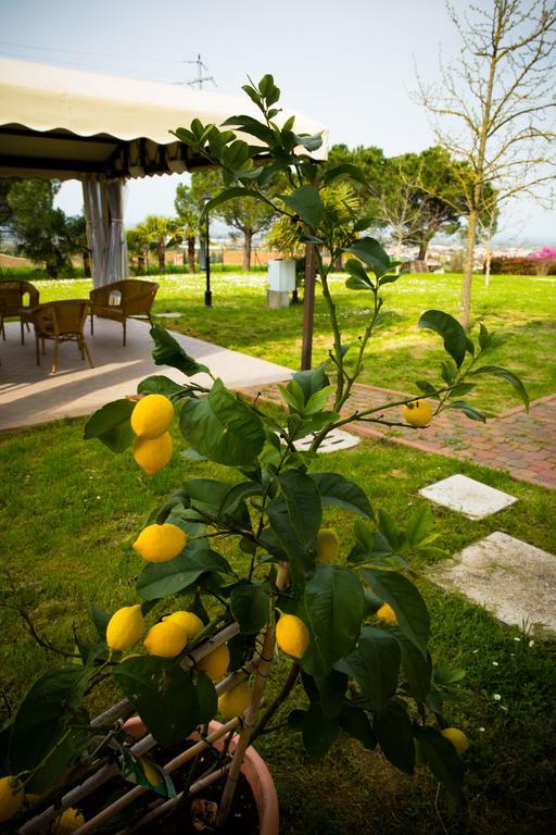B&B Magic Dozza Zewnętrze zdjęcie
